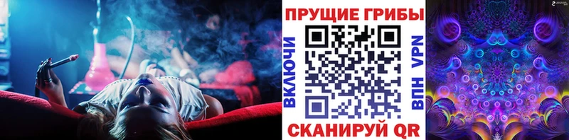 Галлюциногенные грибы мицелий omg ТОР Малмыж наркота