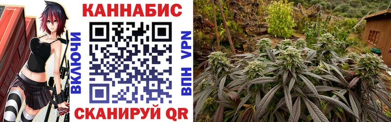 Шишки марихуана THC 21% купить закладку Малмыж
